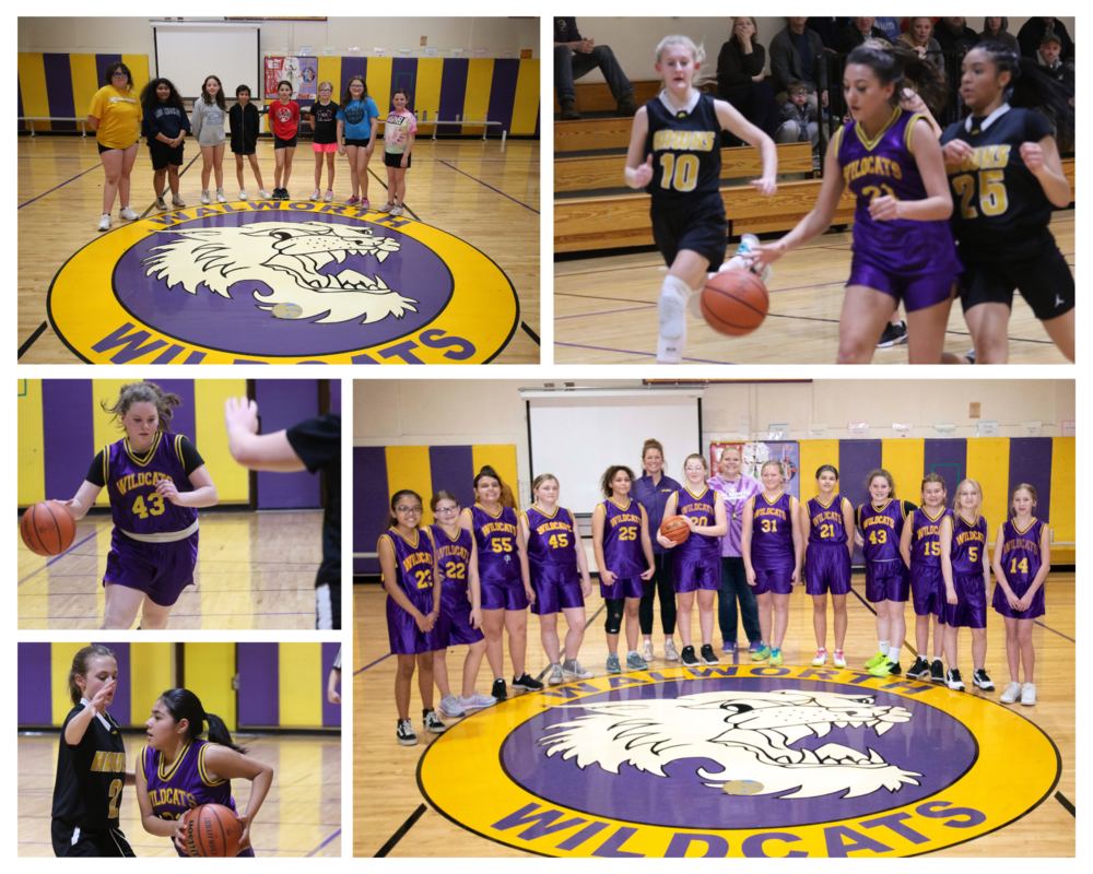 Collage of Girls Basketball Photos