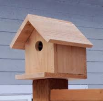 Makerspace: Beginning Woodworking